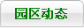 园区动态